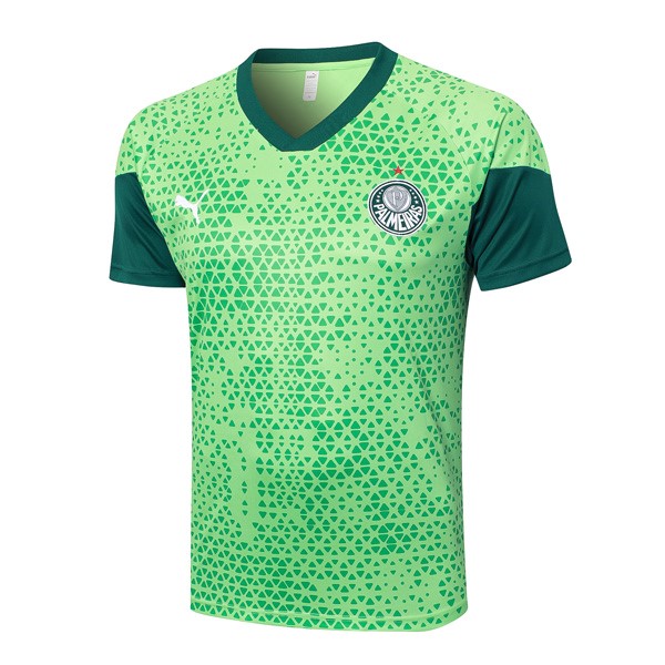 Camiseta Entrenamiento Palmeiras 2024/25 Verde